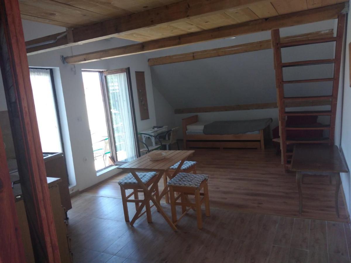 Apartment Zola Gornji Karin Eksteriør billede